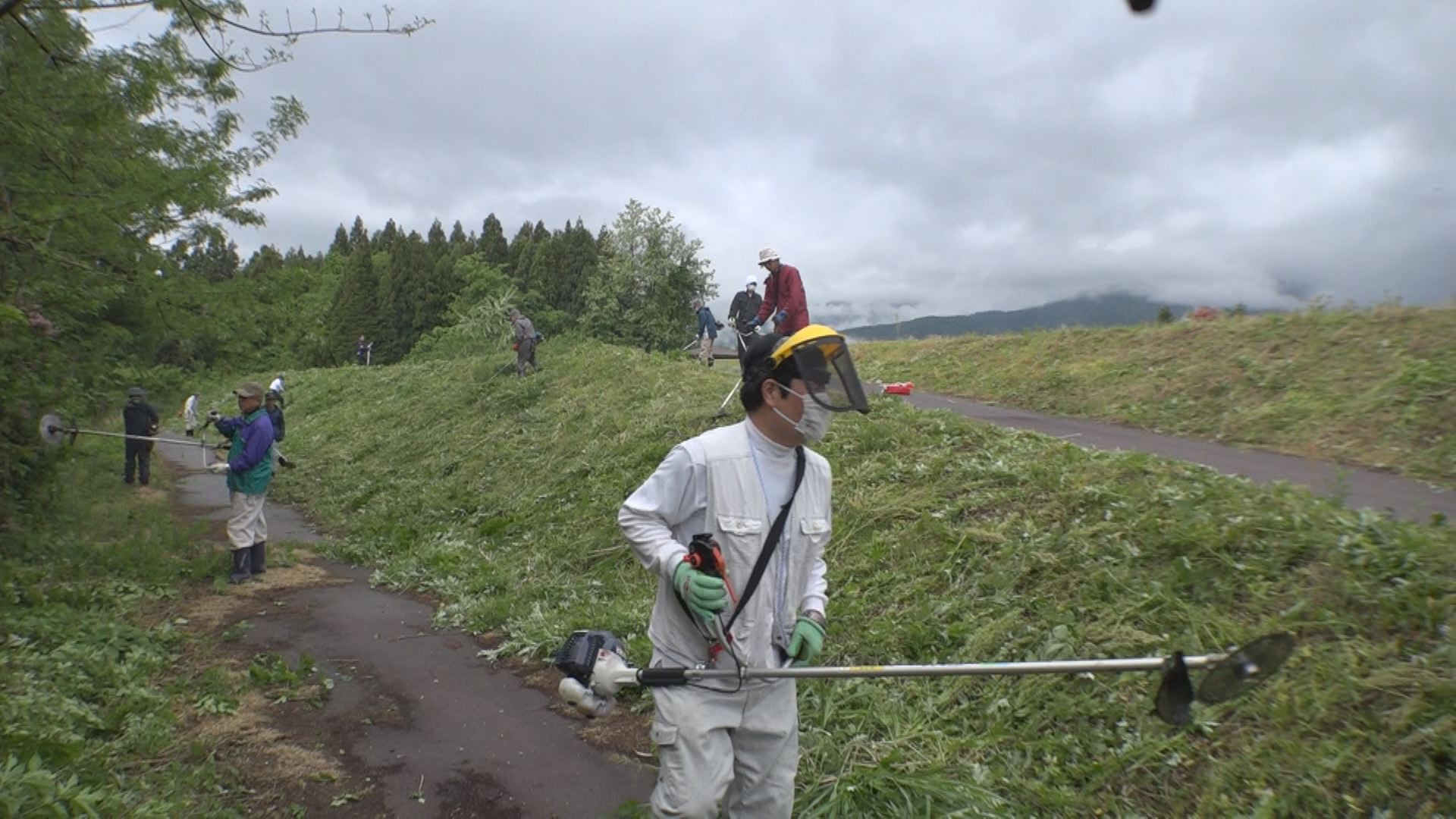 松山水辺ふれあい公園で合同草刈り