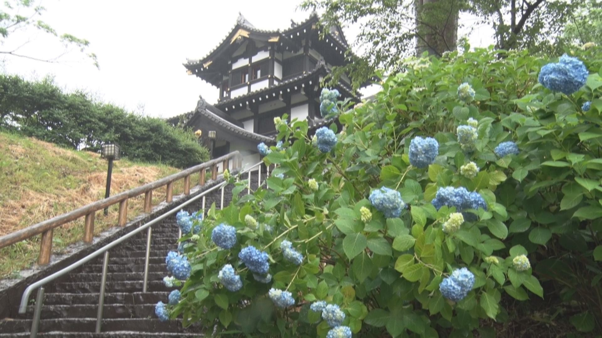 新潟県含む北陸 梅雨入り