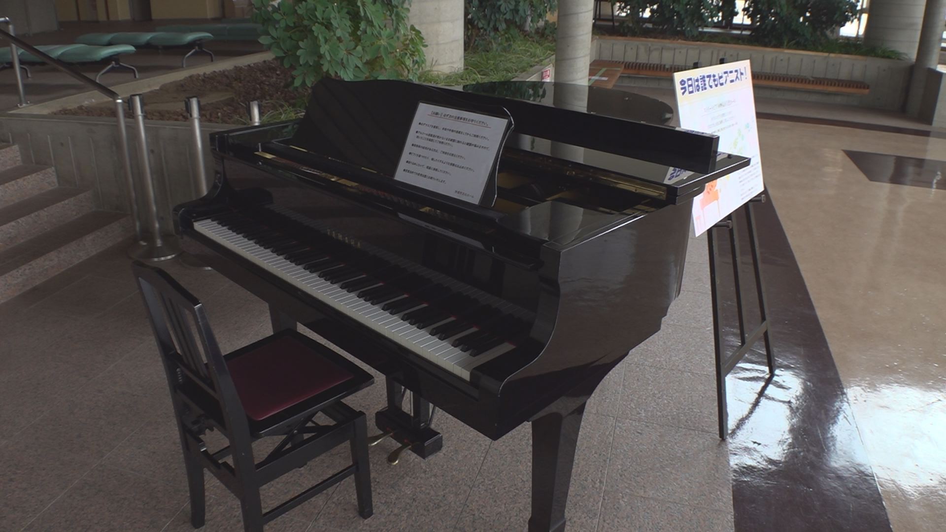 妙高市文化ホール グランドピアノ開放！誰でも自由に演奏♪