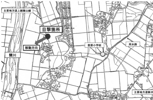 クマらしき動物の目撃情報[上越市]