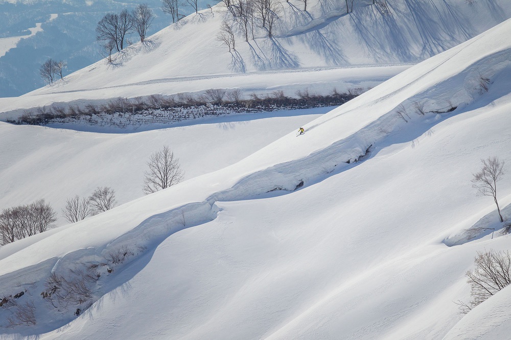 ski38