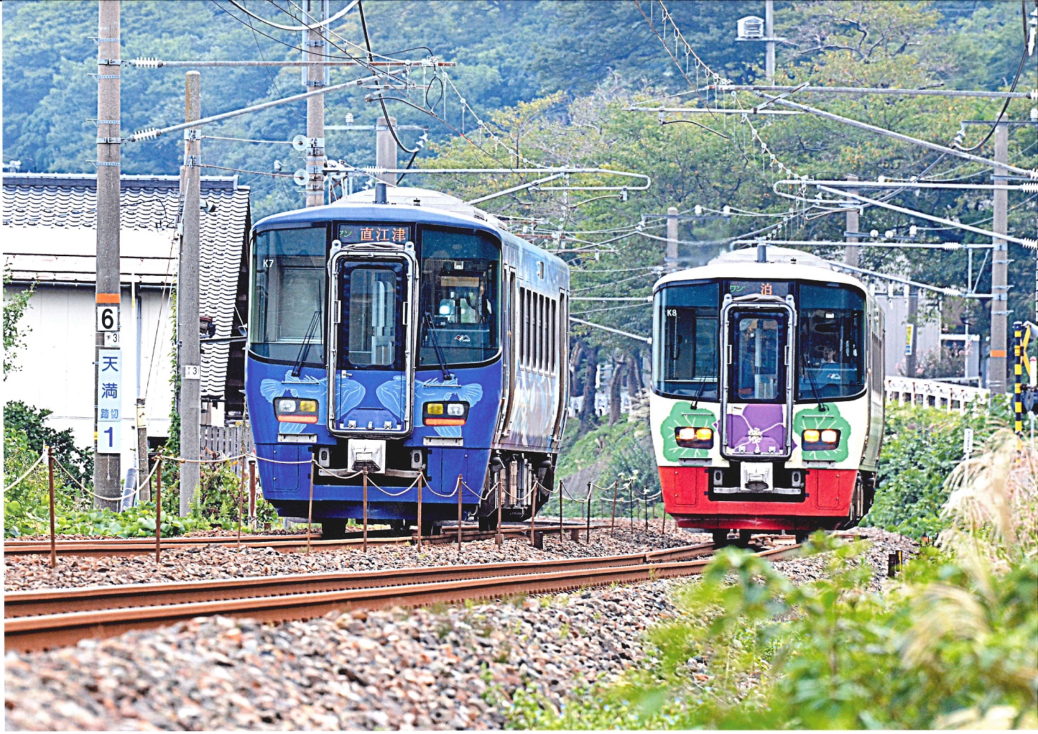 3市の花と日本海号