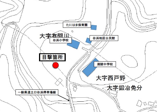 クマの目撃情報[上越市]