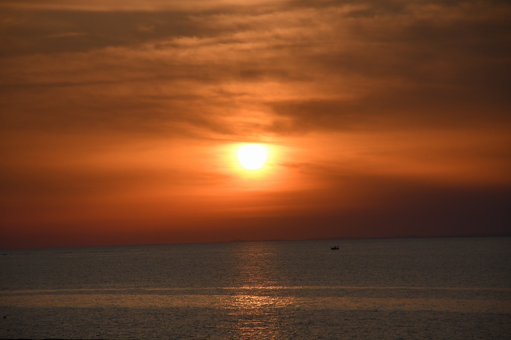 夕日②