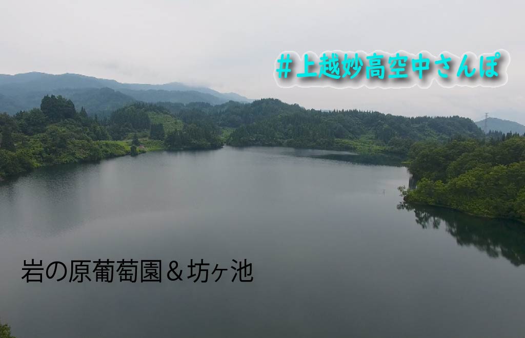 ＃上越妙高空中さんぽ  ～岩の原葡萄園･坊ヶ池～