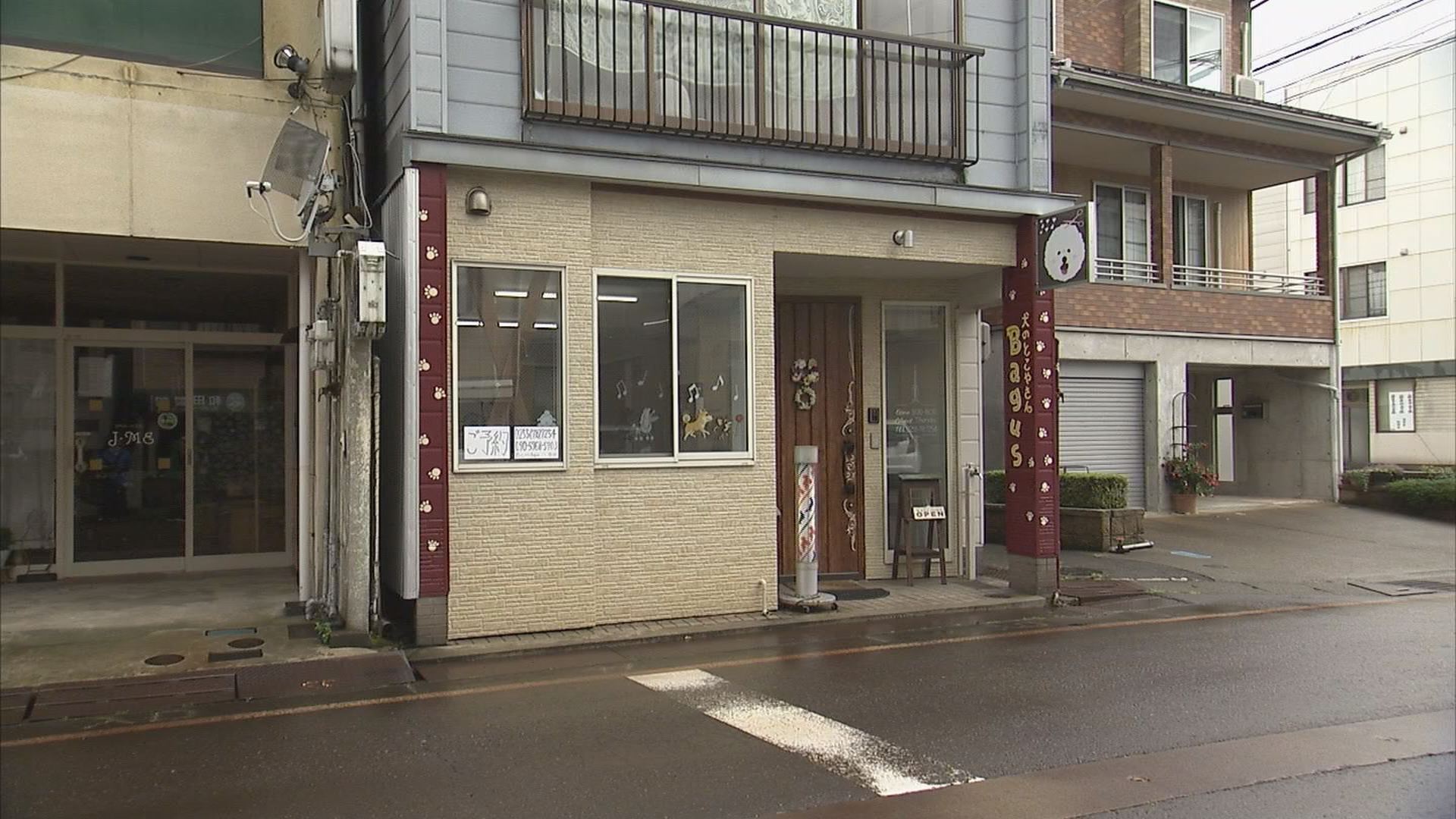 バグース