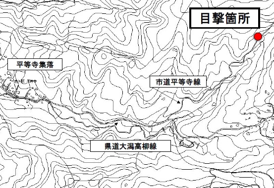 ffffd無題