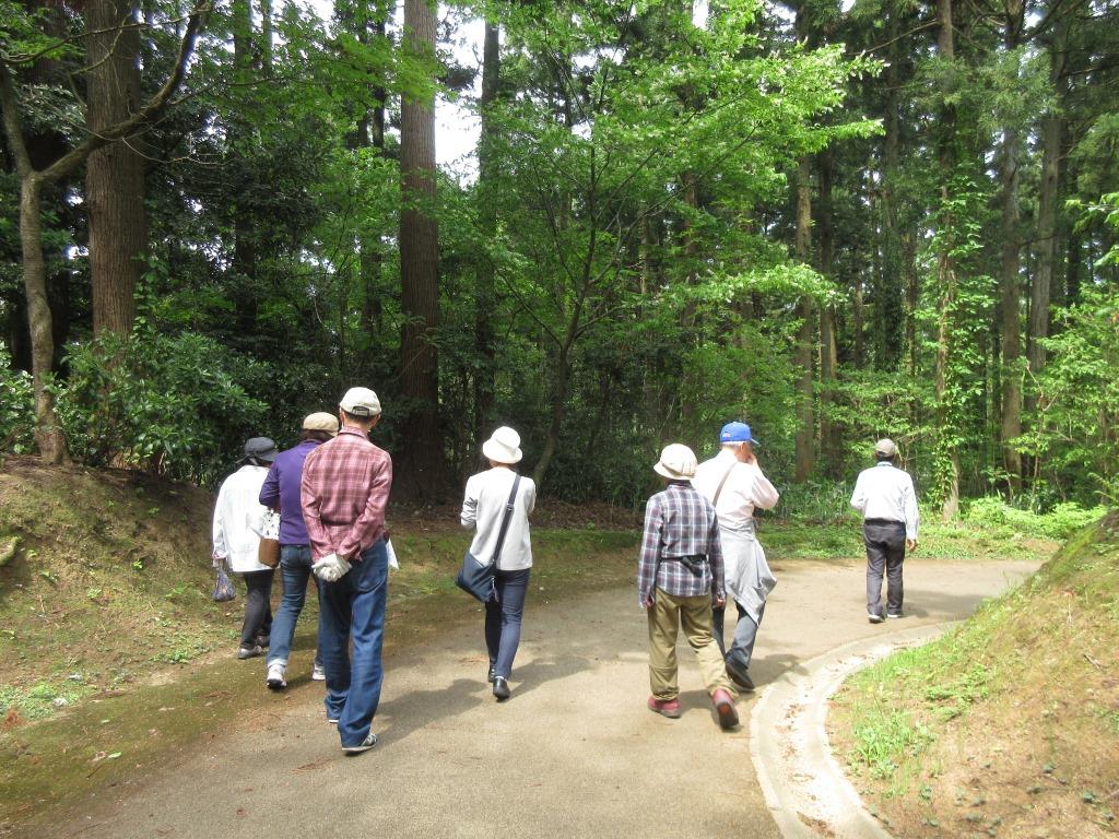 県立大潟水と森公園 9月のイベント紹介