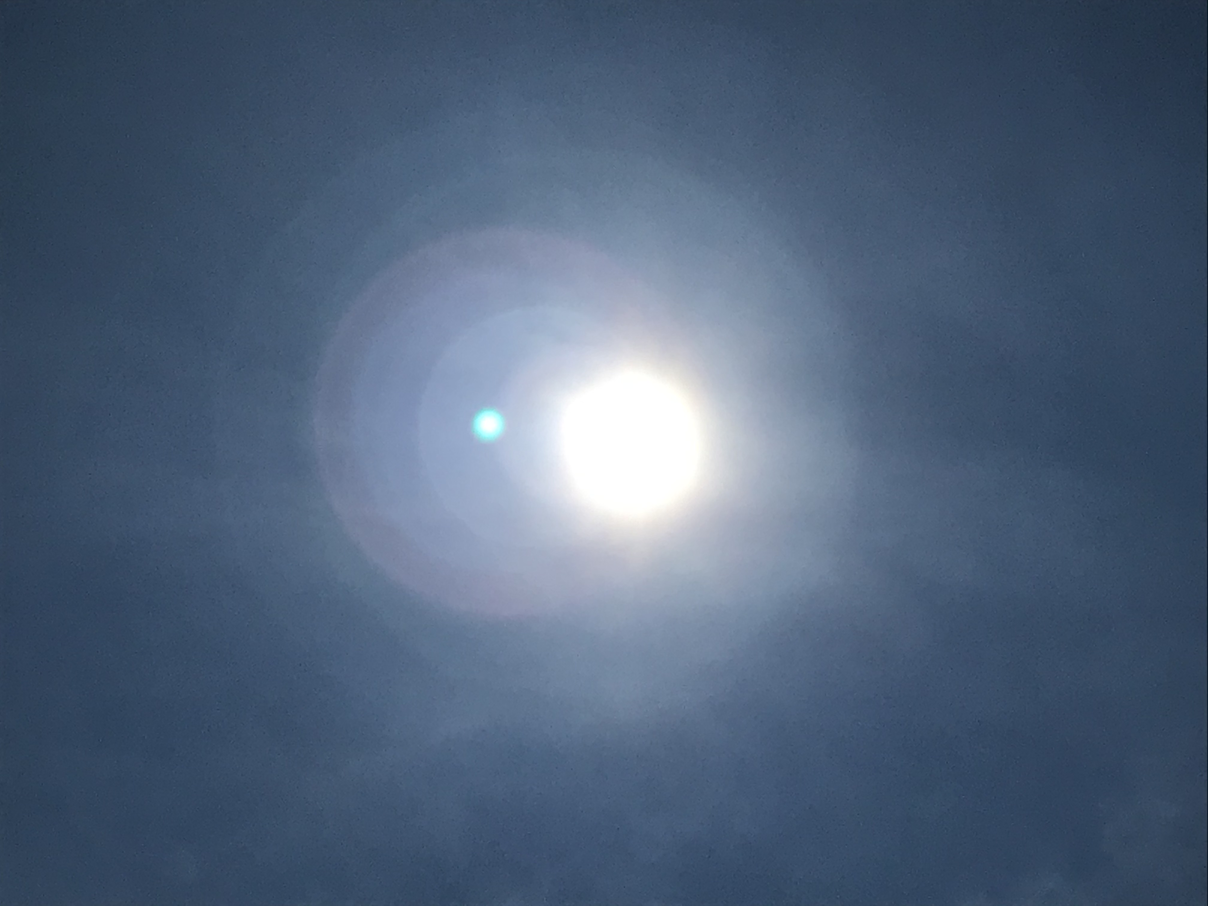 高田･大潟･安塚は35℃超えの猛暑日 熱中症に警戒！