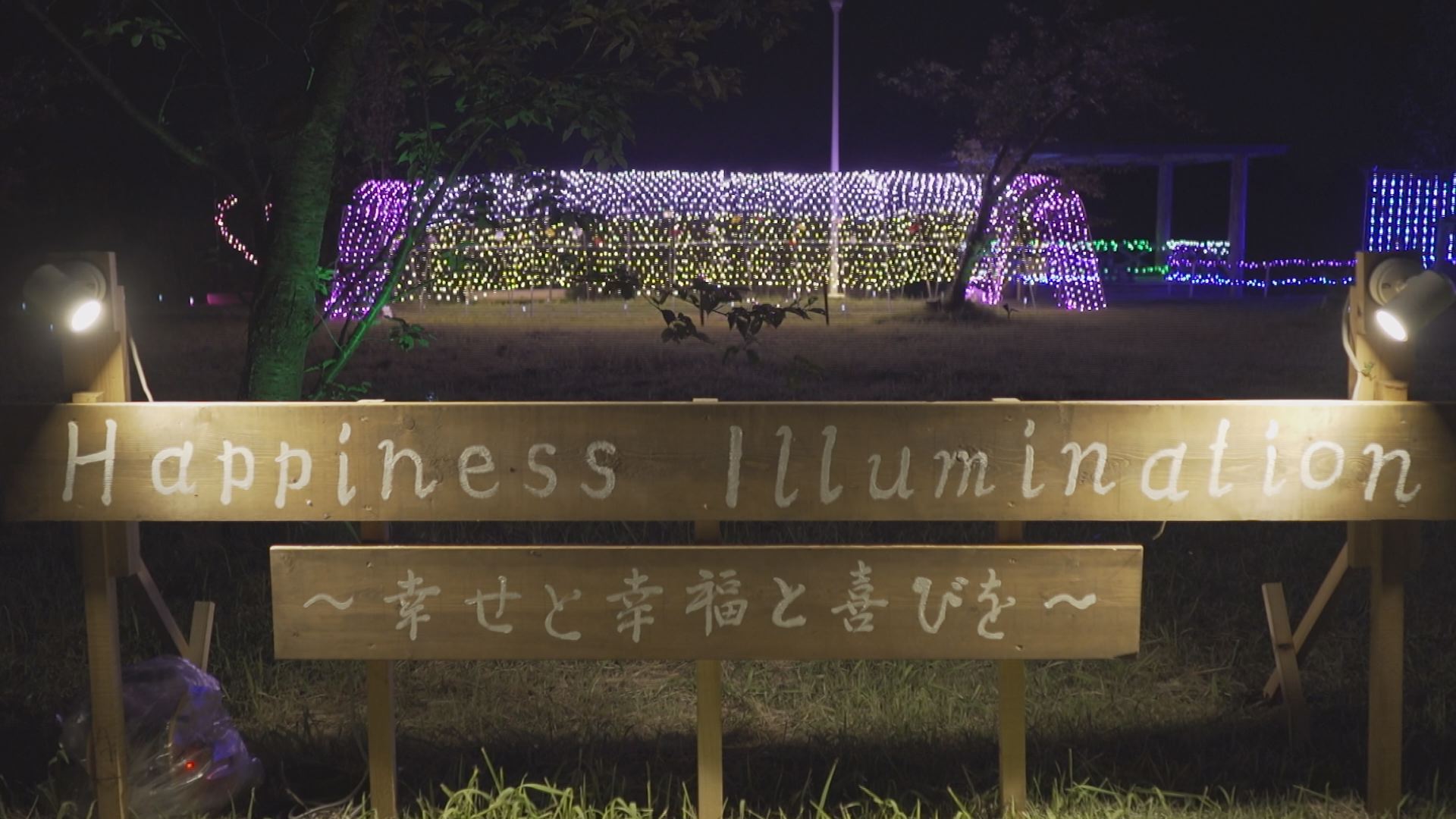 夏の夜のナイアガラ！柿崎区坂田池にイルミネーション