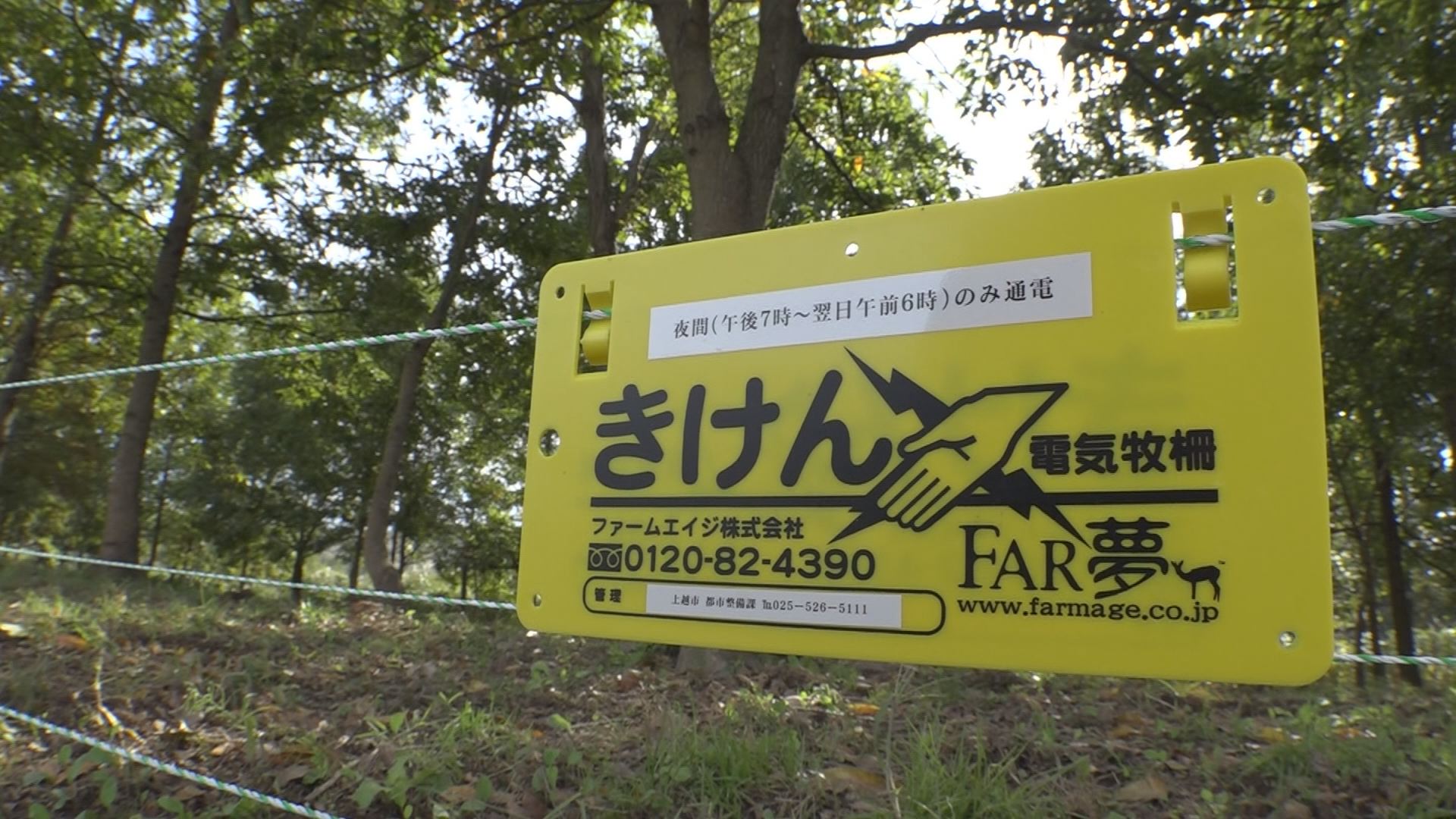 たにはま公園に電気柵 9月から通電イノシシ被害防止へ