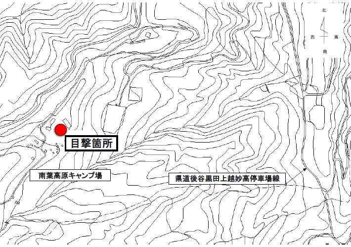 クマの目撃情報[上越市]