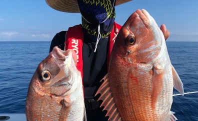 上越周辺の最新釣り情報 サヨリ、シーバス、アオリイカ…