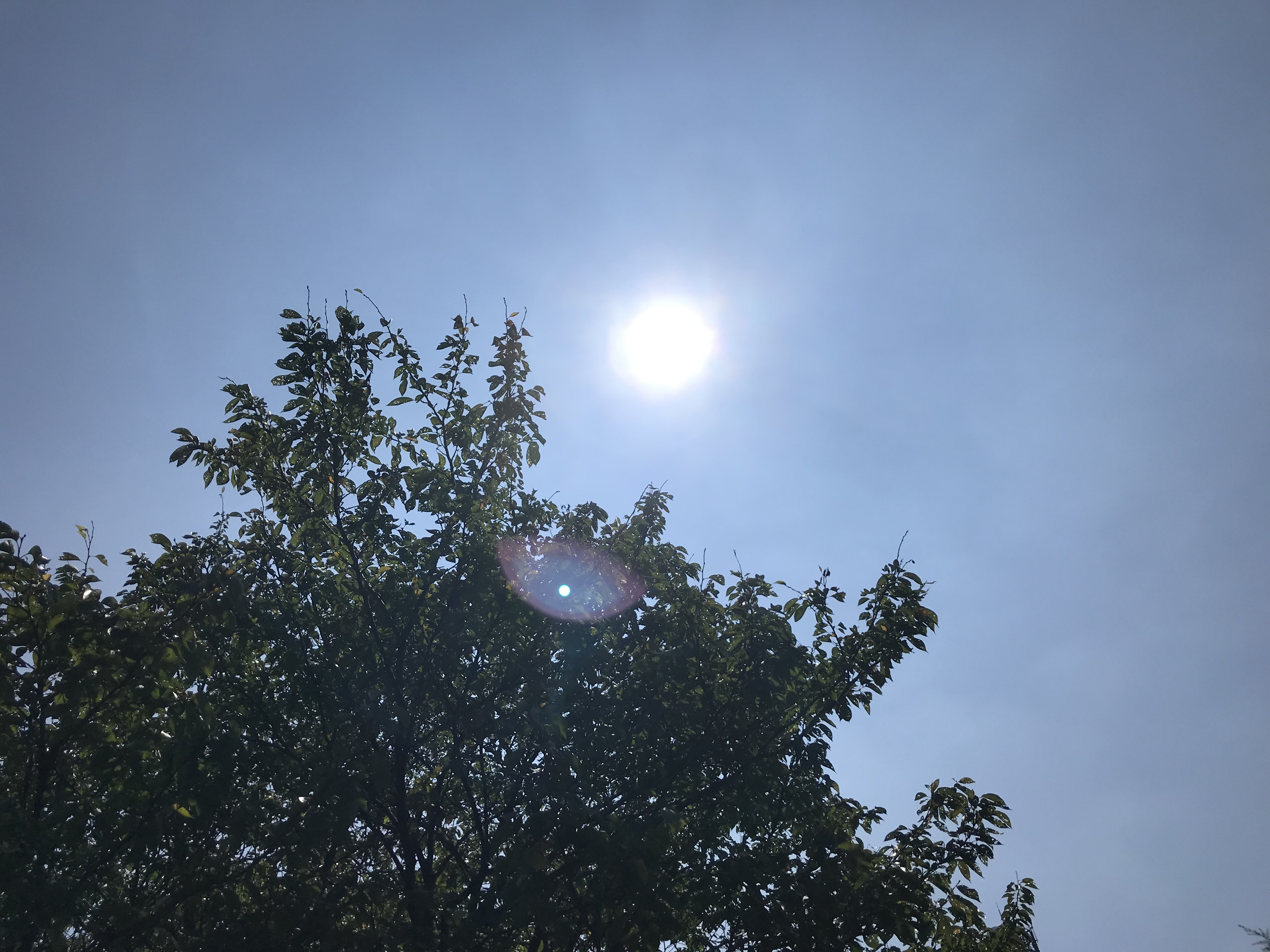 大潟で今年最高39.5℃ 熱中症に厳重警戒を！