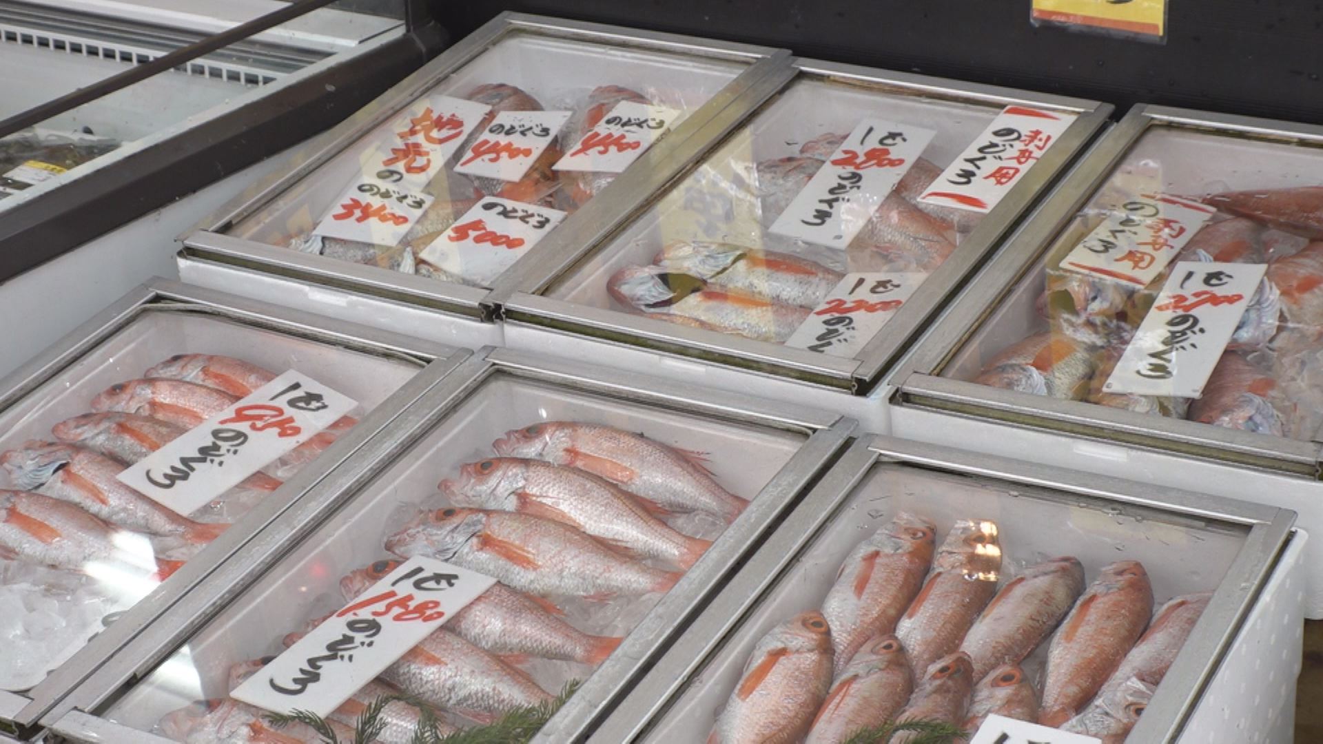 200910_魚②