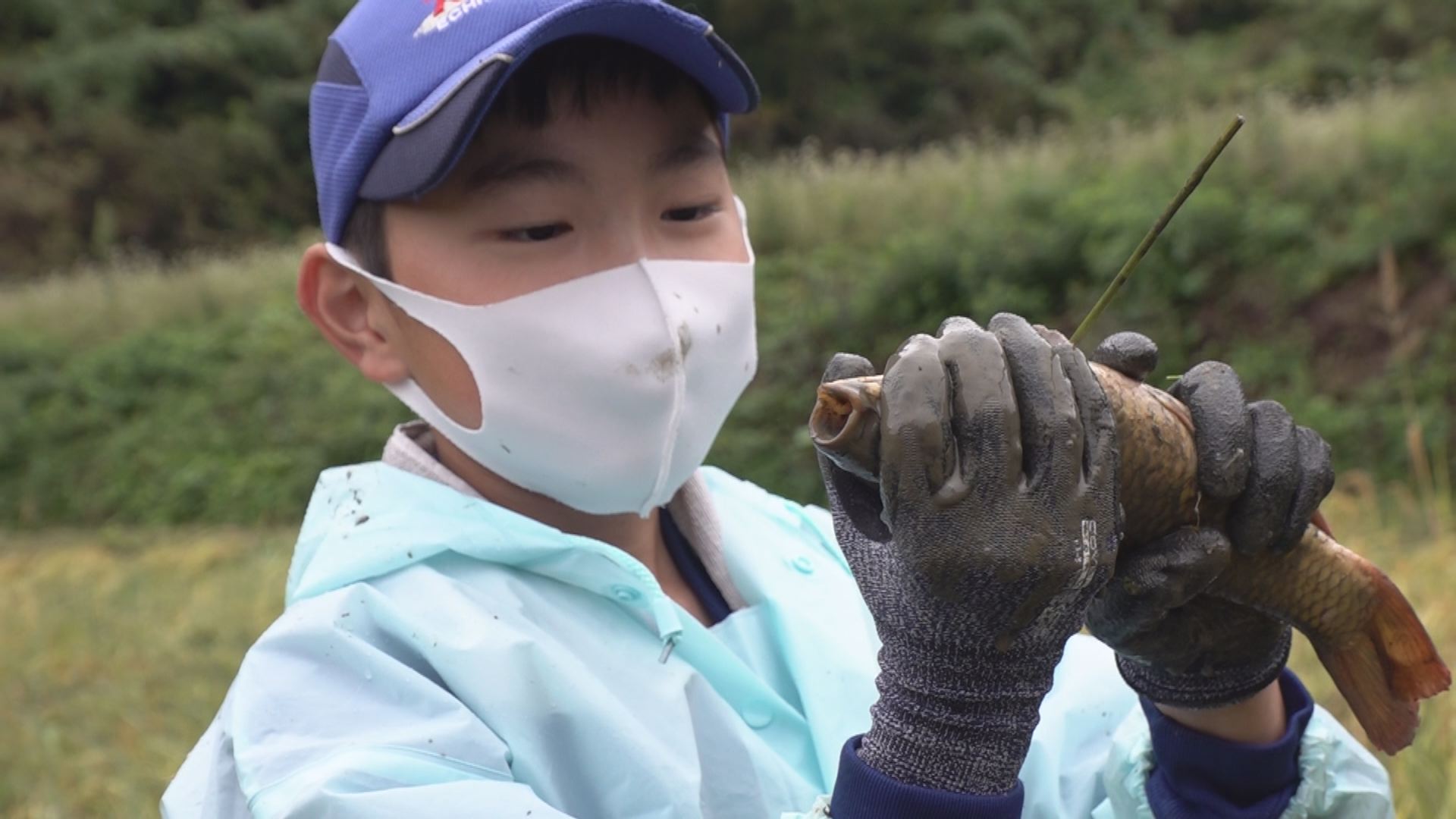 秋の実りは二刀流！牧小5年生が稲刈りでコイを捕獲