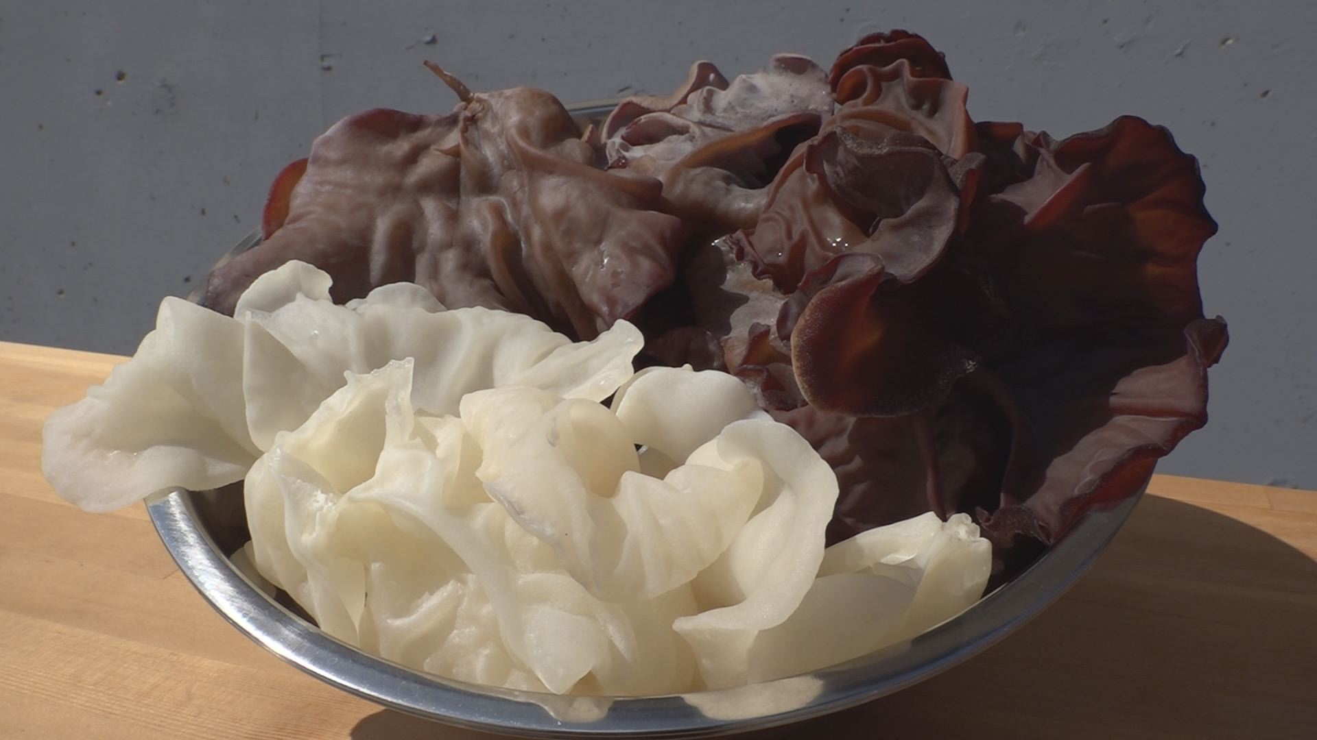 プルプル食感！上越市の農園が白いキクラゲ生産