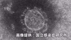 03d377235756b2d185d2f075b8523ef6-300x169