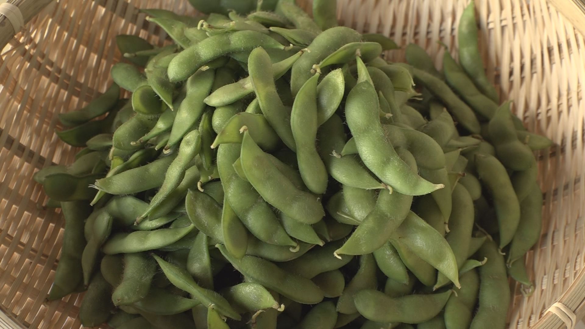 枝豆で1億円！JAえちご上越が上越産野菜をブランド化へ