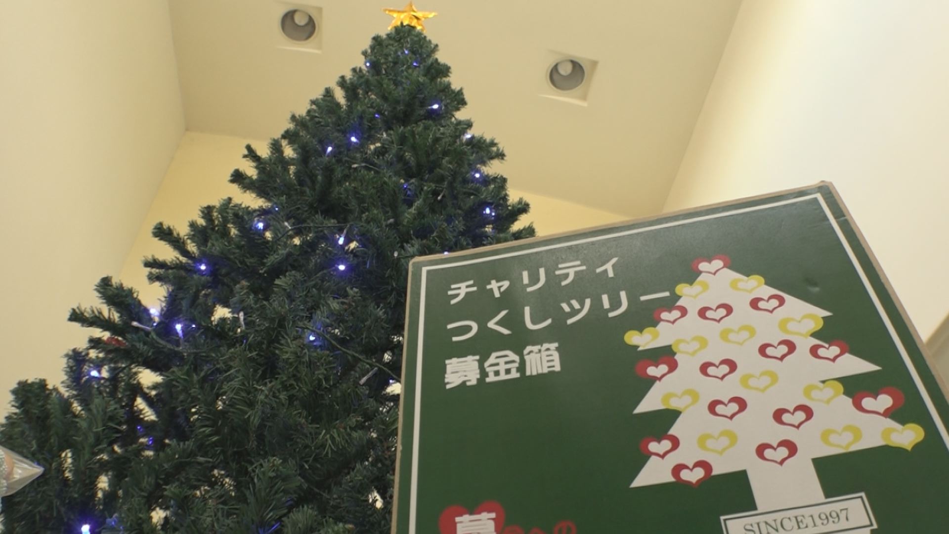 チャリティつくしツリーがスタート 12月24日(木)まで
