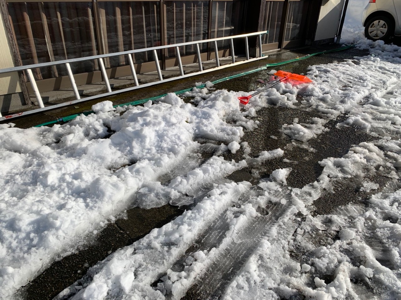 妙高市関山の住宅地にイノシシ出没  除雪中80代女性がケガ　