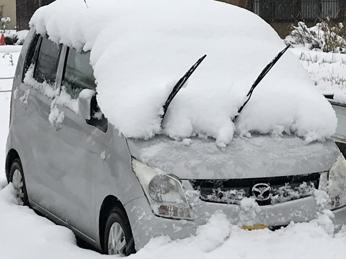 各地で雪  高田24cm 安塚61cmの積雪（午前8時現在）