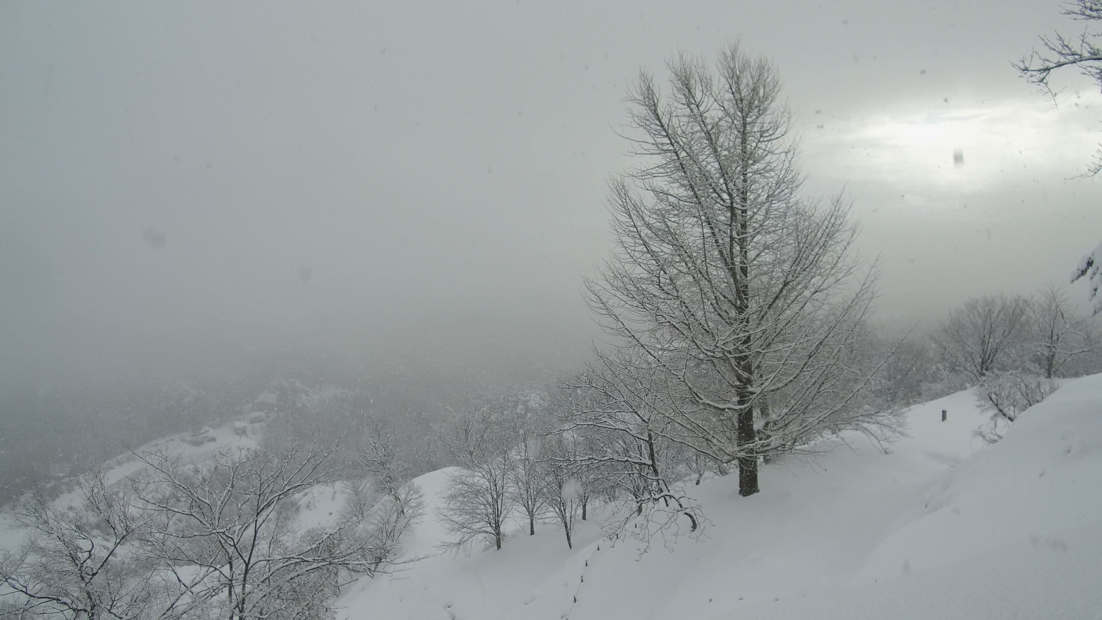 【動画】雪中行脚 春日山城跡冬景色