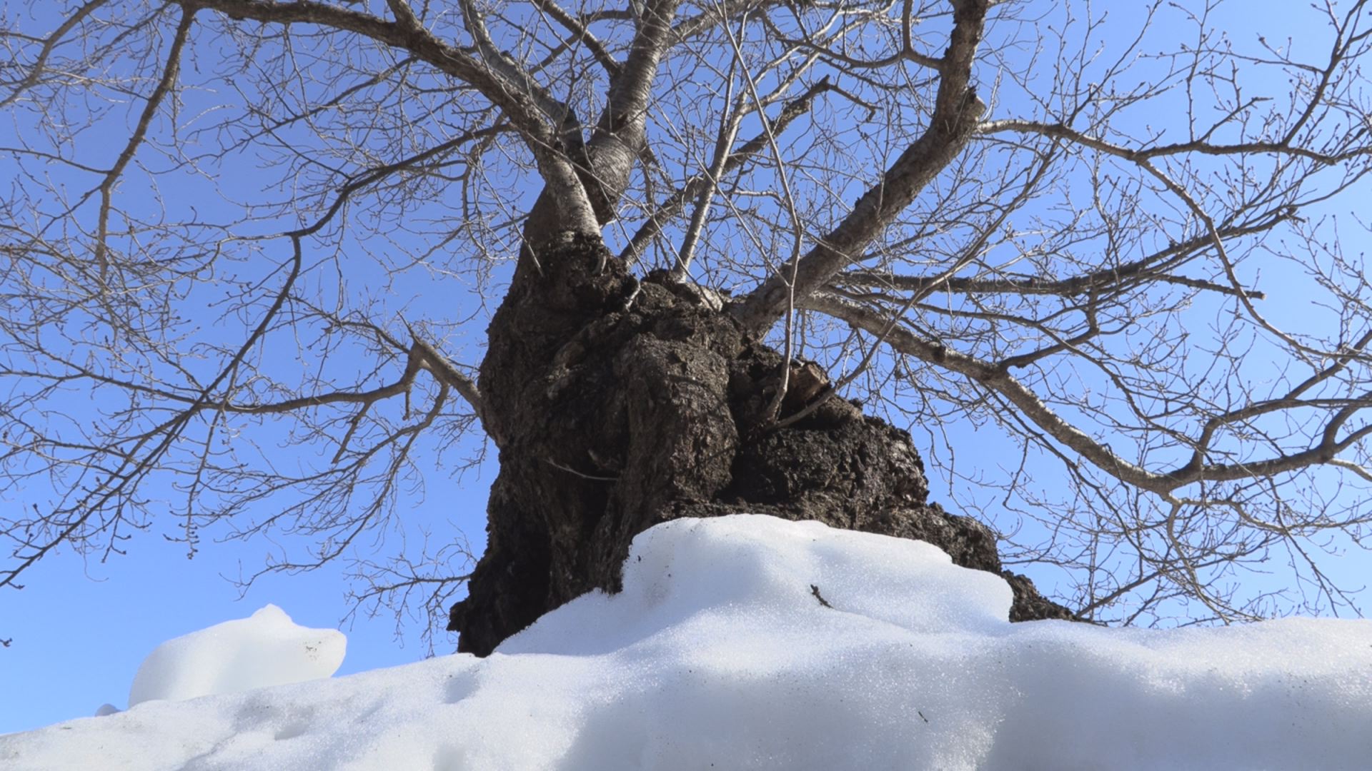 3か月予報 降雪量は平年並みか少ない見込み