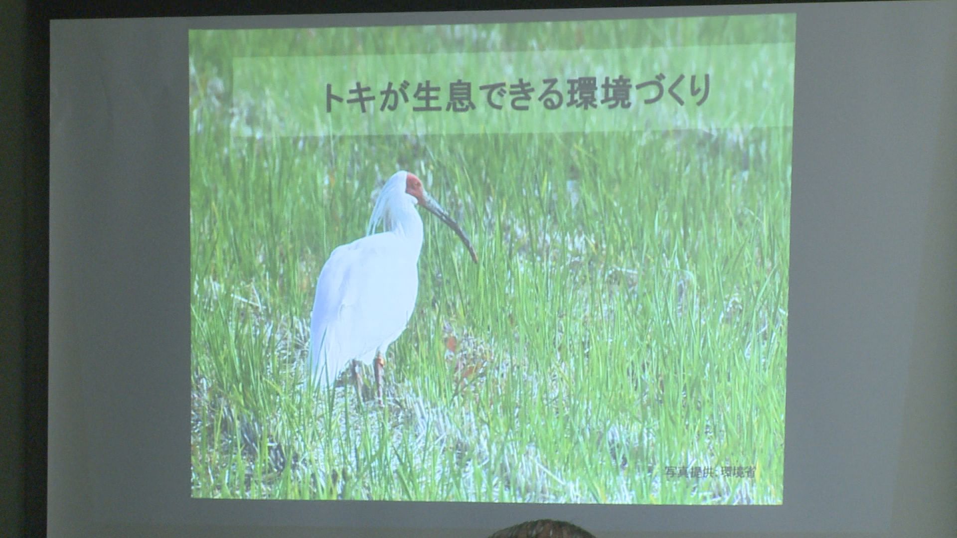 トキを身近に感じる講演会