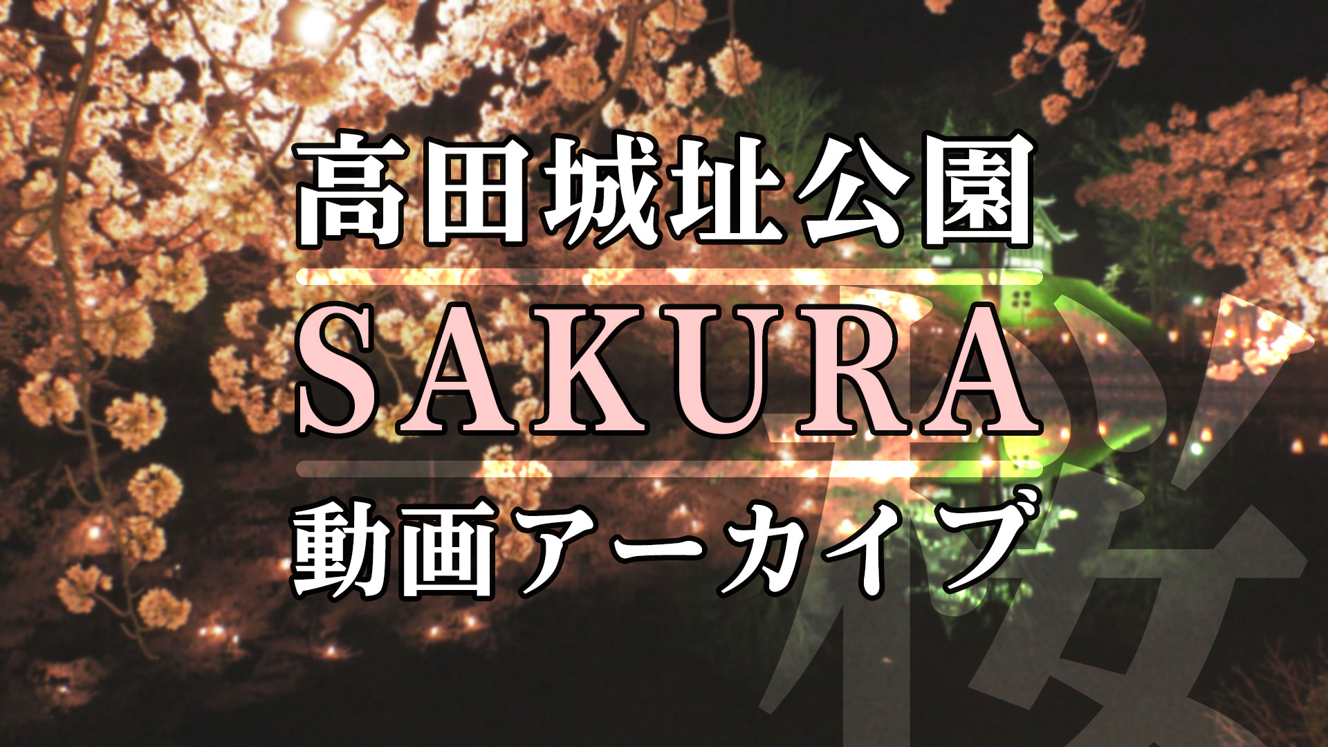 動画でお花見！高田城址公園 SAKURAアーカイブ