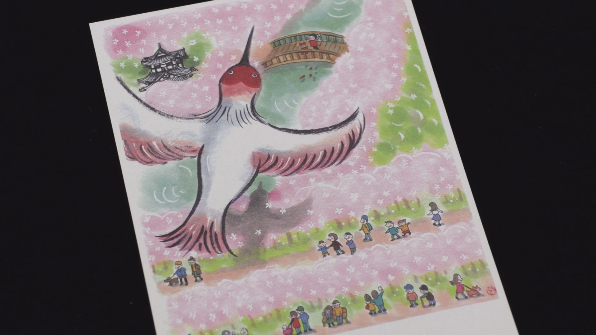 トキと桜満開の高田城址公園! 新作絵ハガキ5000枚を郵便局に トキと桜満開の高田城址公園! 新作絵ハガキ5000枚を郵便局に