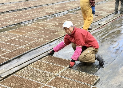 牧区の地域おこし協力隊が任期満了 家を買って定住決めました！
