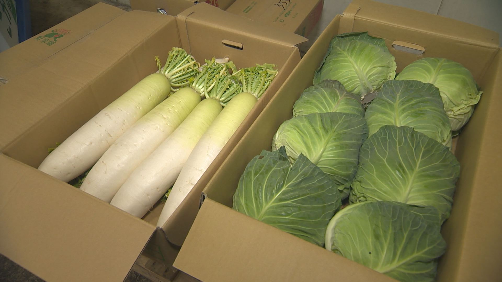 きよさと（野菜）