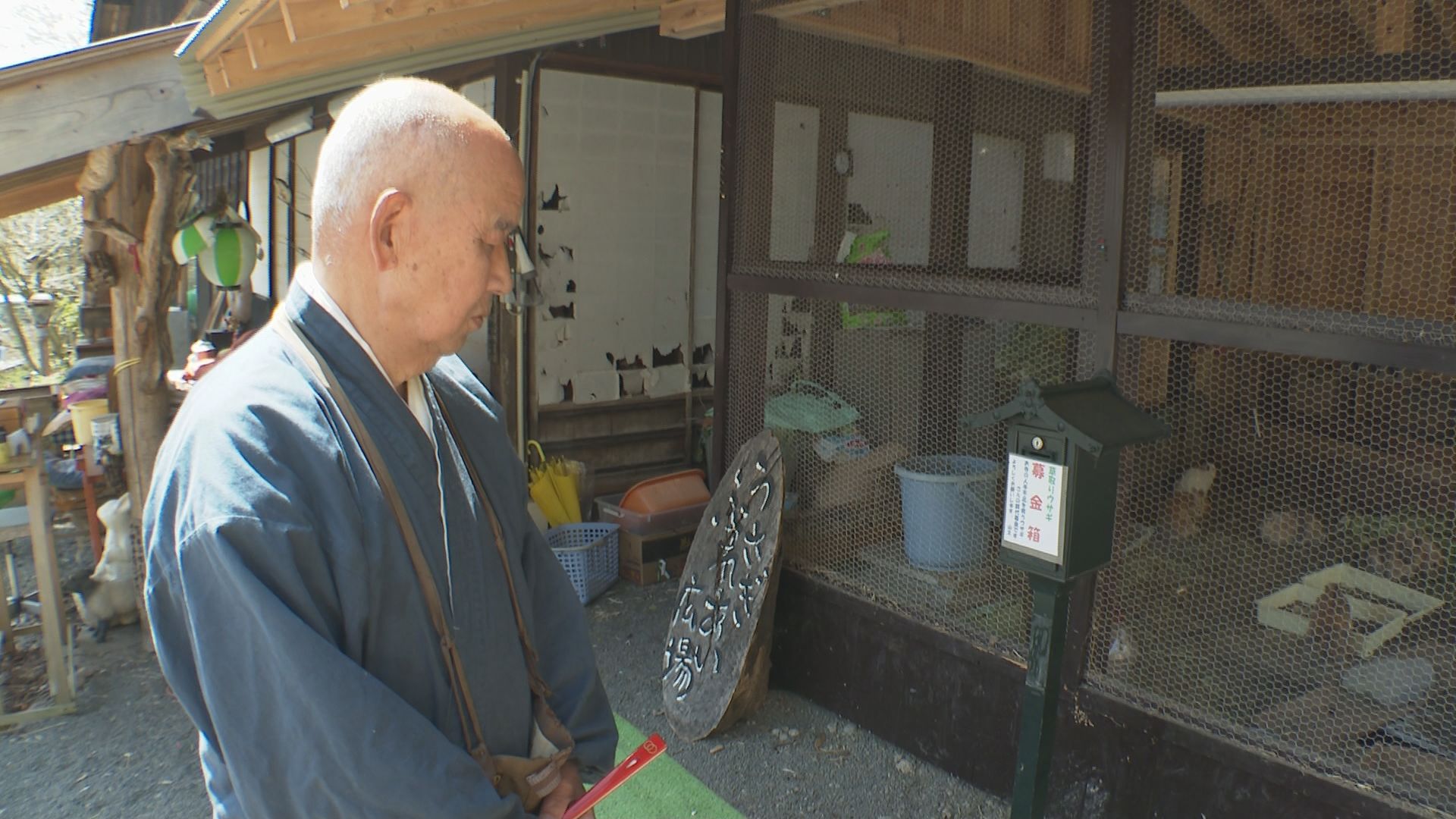 佐渡の長谷寺 ウサギ飼育崩壊 現在の状況は……
