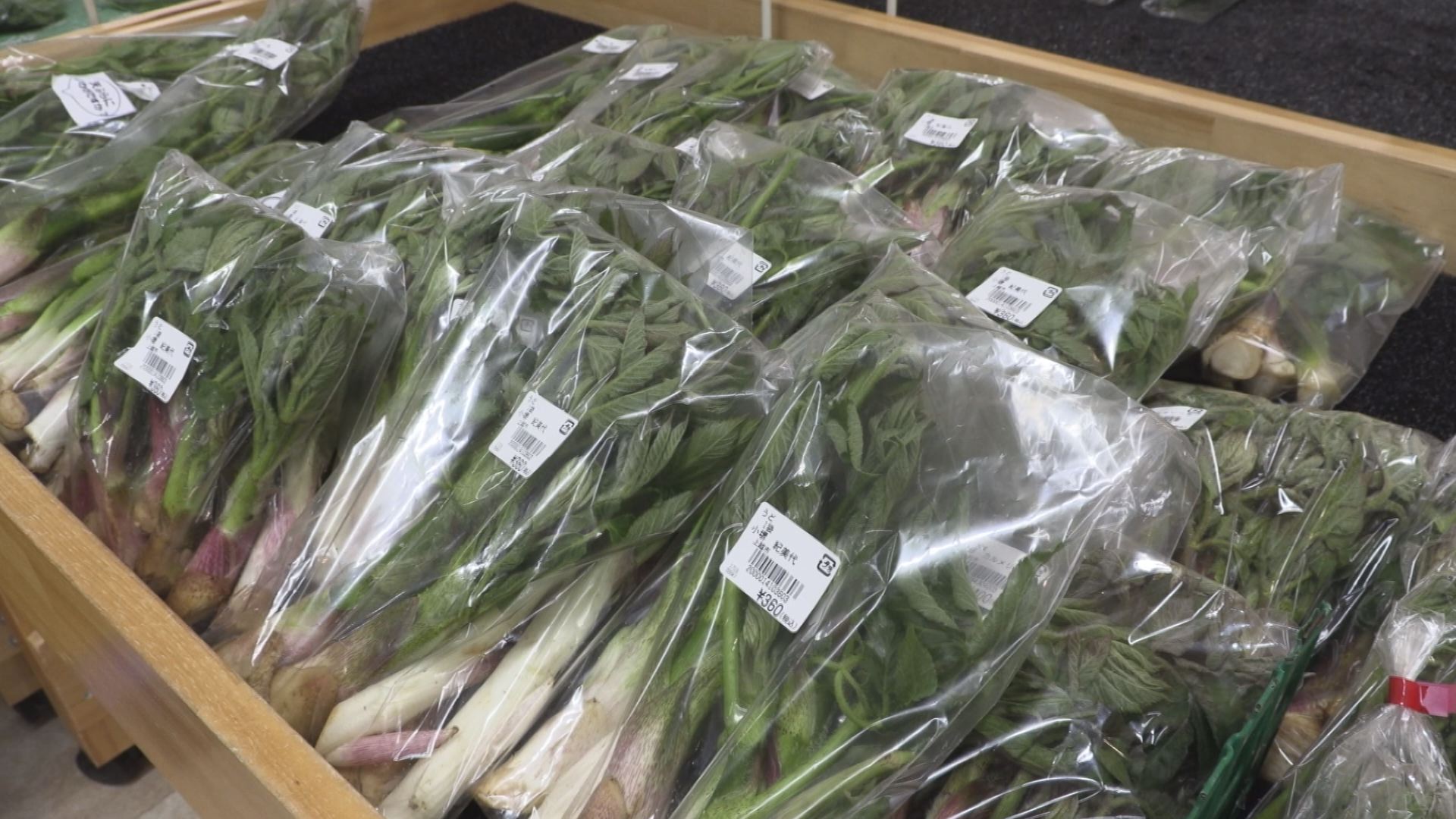 大雪のめぐみが超うんまい！春の山菜がずらり「あるるん畑」