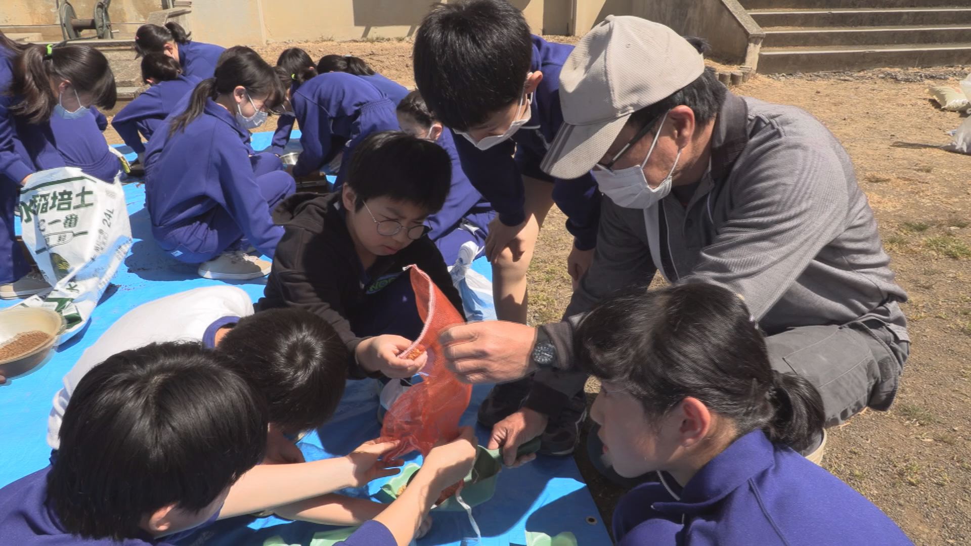 田植え前の大事な仕事！黒田小5年生がすじまき