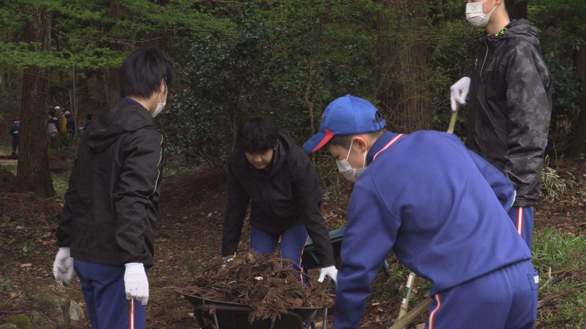 旧関山宝蔵院庭園 妙高中全校生徒が清掃活動