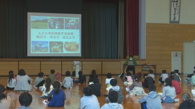 佐渡の行谷小児童 トキの生態を学ぶ