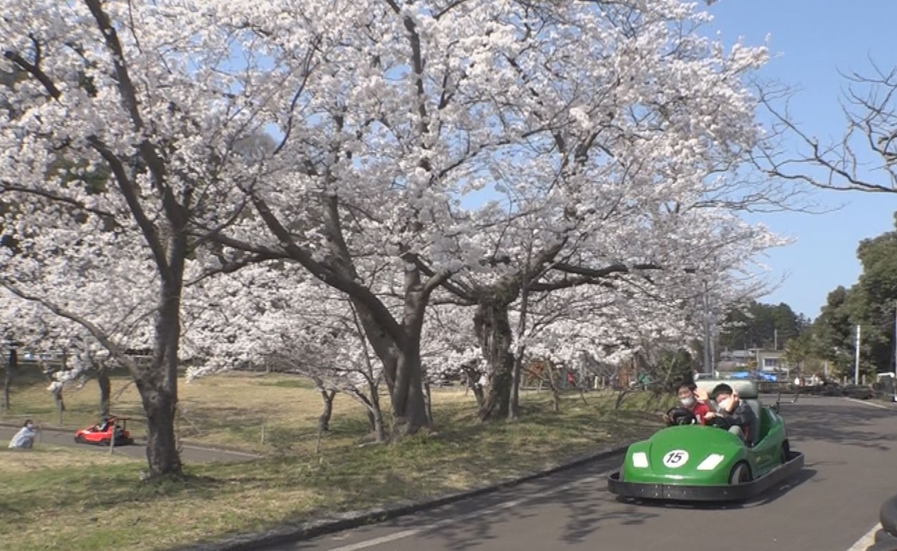 五智公園 お花見しながらゴーカート！10月末まで土日祝営業