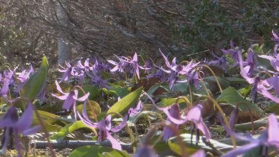 Still0507_00008