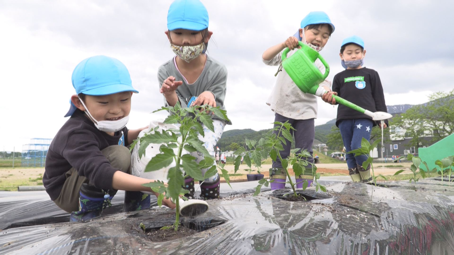 おおきくなぁ～れ！ 斐太北保育園で野菜の苗植え