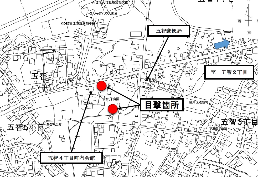 五智3、4丁目付近 クマの目撃情報[上越市]