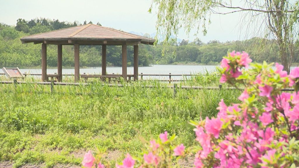 橋立東屋