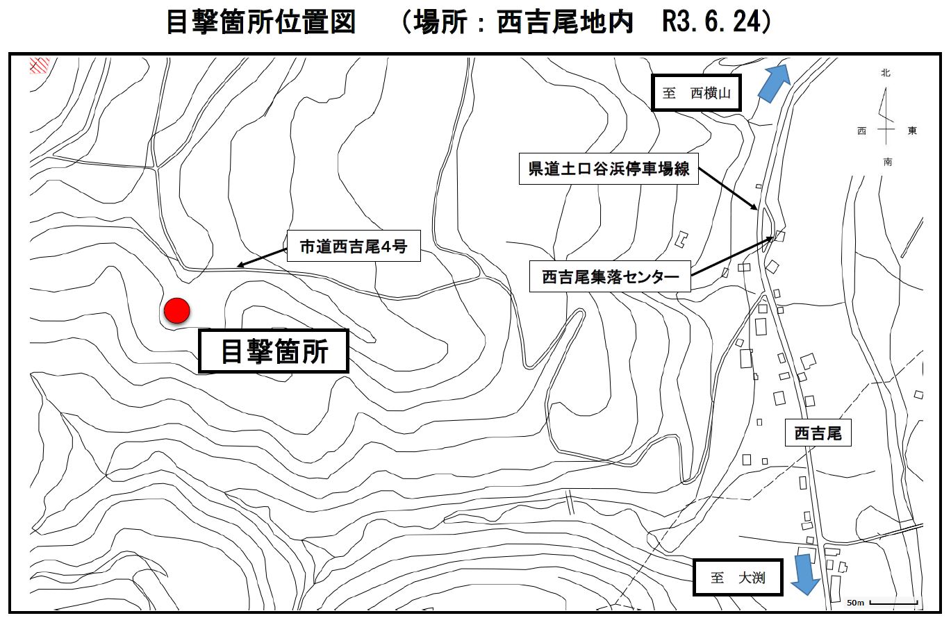 クマの目撃情報[上越市]
