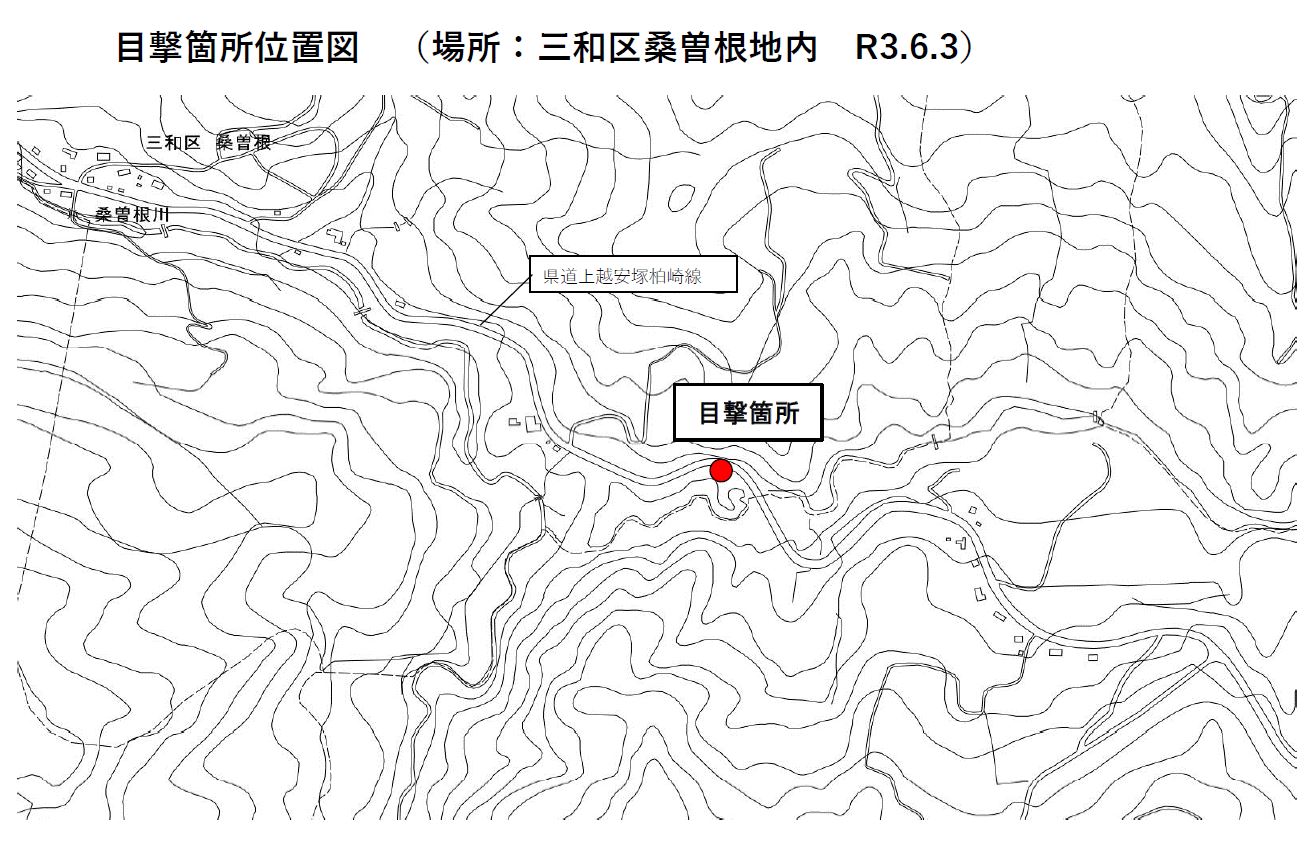 クマの目撃情報＜上越市三和区桑曽根＞[上越市]
