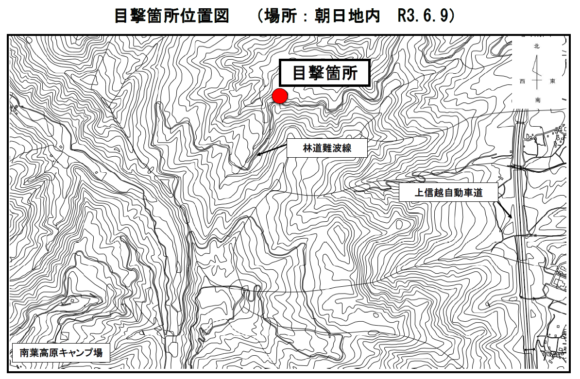 クマの目撃情報[上越市]