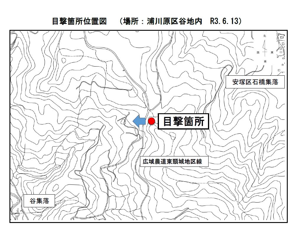 クマの目撃情報[上越市]