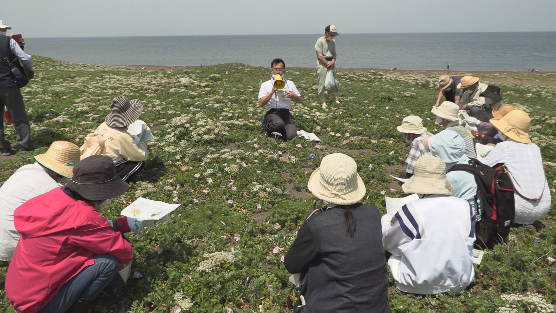 柿崎海岸で環境学習会 植物観察やゴミ拾い