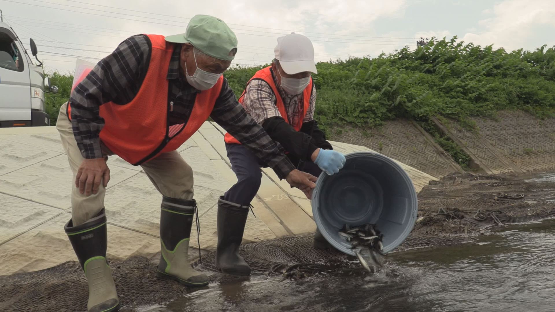 太公望お待ちかね！関川水系にアユの稚魚放流
