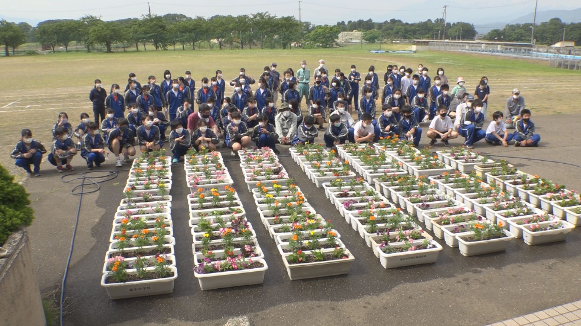校区内を花でいっぱいに！雄志中生徒がプランターに花苗植え